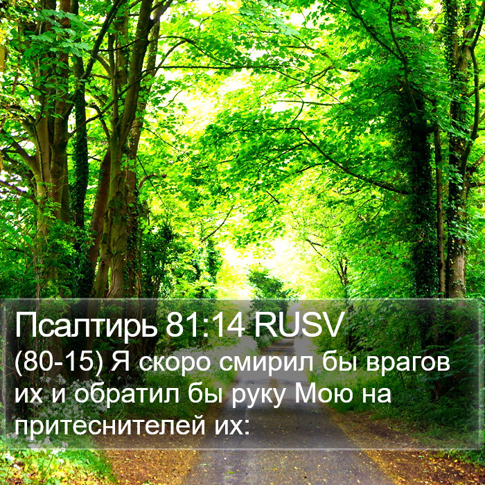 Псалтирь 81:14 RUSV Bible Study