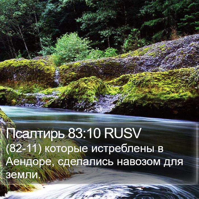 Псалтирь 83:10 RUSV Bible Study