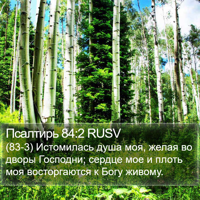 Псалтирь 84:2 RUSV Bible Study