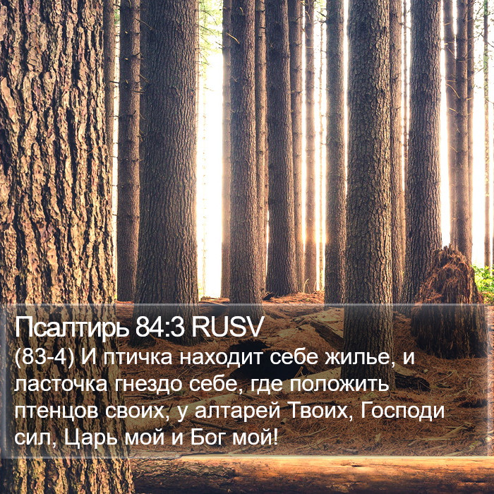 Псалтирь 84:3 RUSV Bible Study