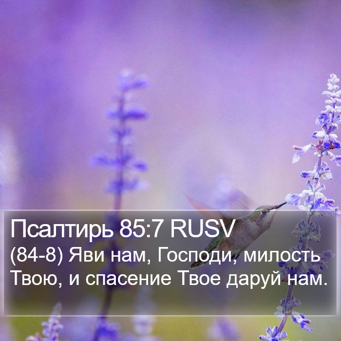 Псалтирь 85:7 RUSV Bible Study