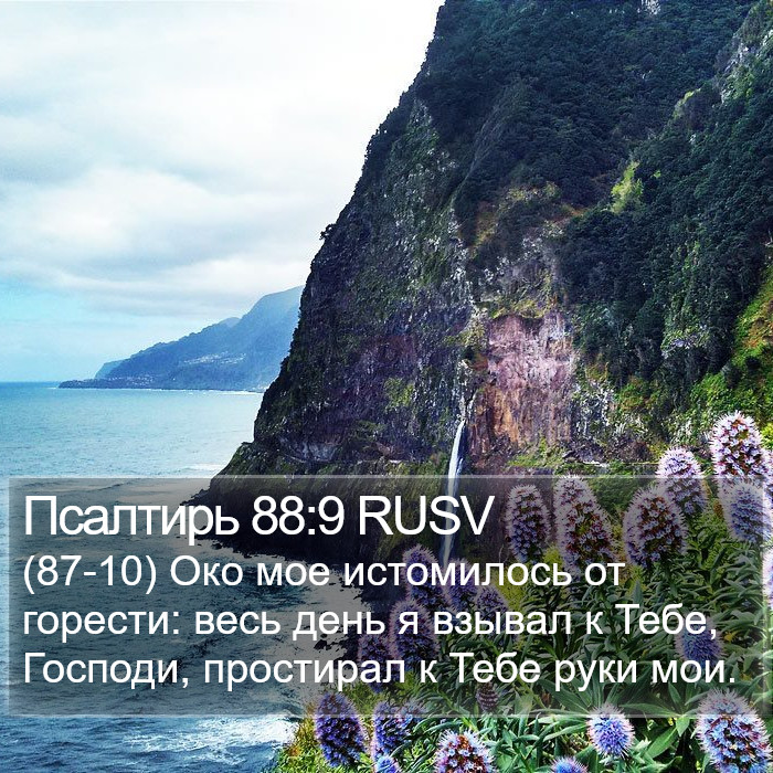 Псалтирь 88:9 RUSV Bible Study