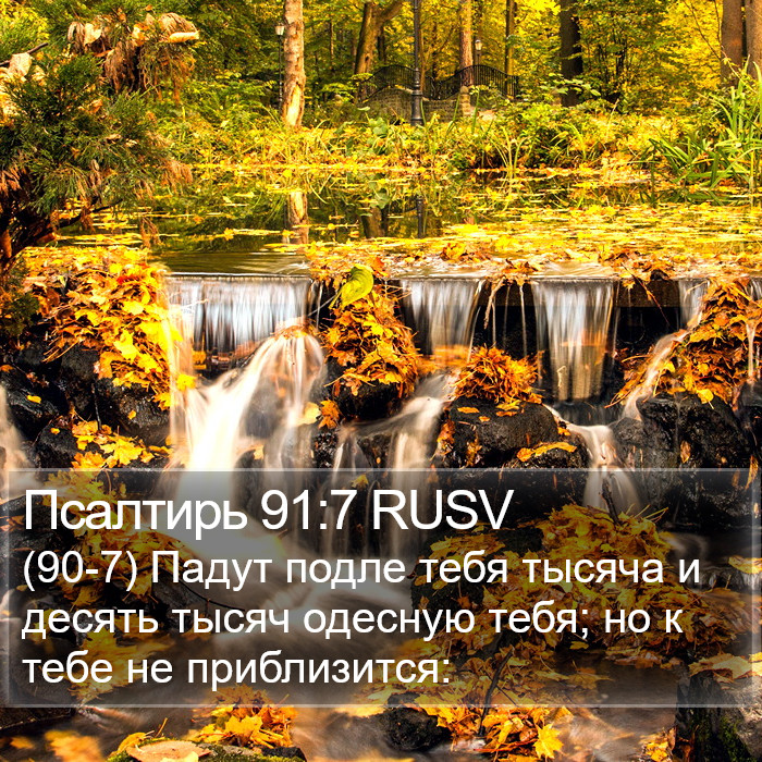 Псалтирь 91:7 RUSV Bible Study