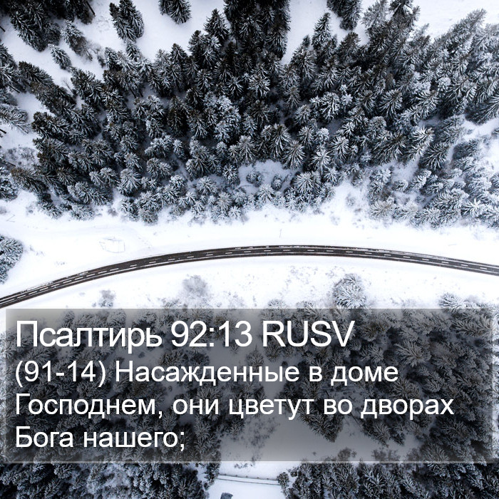 Псалтирь 92:13 RUSV Bible Study