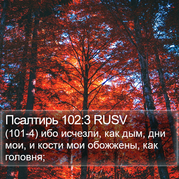 Псалтирь 102:3 RUSV Bible Study