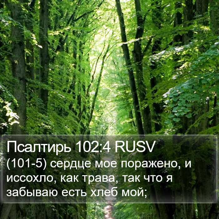 Псалтирь 102:4 RUSV Bible Study