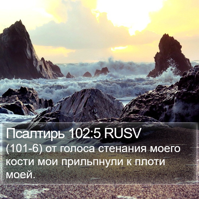 Псалтирь 102:5 RUSV Bible Study