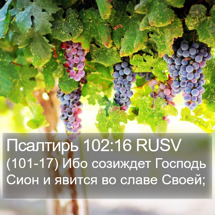 Псалтирь 102:16 RUSV Bible Study
