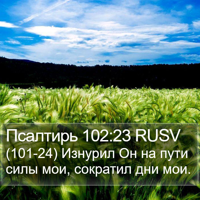 Псалтирь 102:23 RUSV Bible Study
