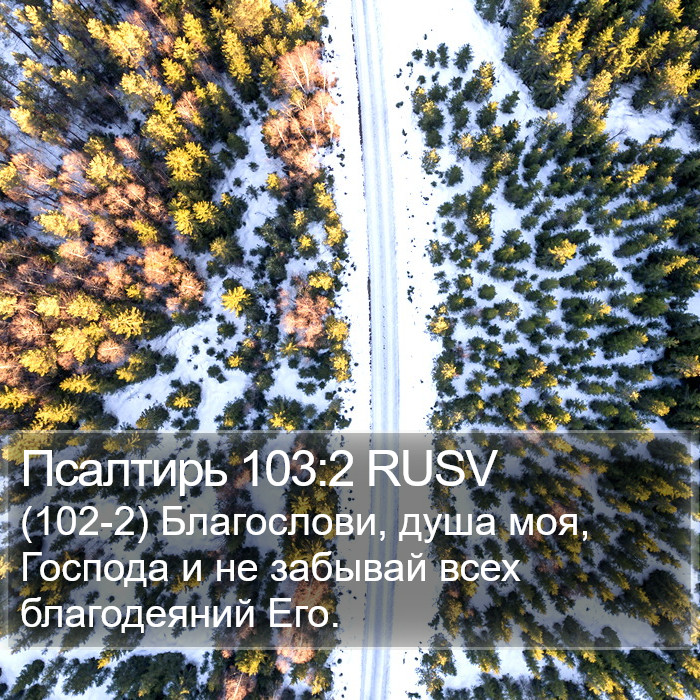 Псалтирь 103:2 RUSV Bible Study