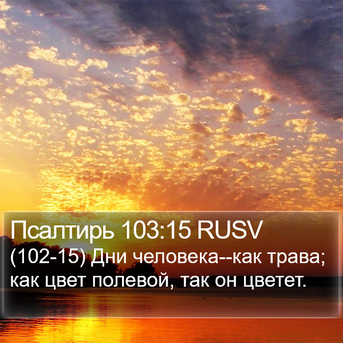 Псалтирь 103:15 RUSV Bible Study
