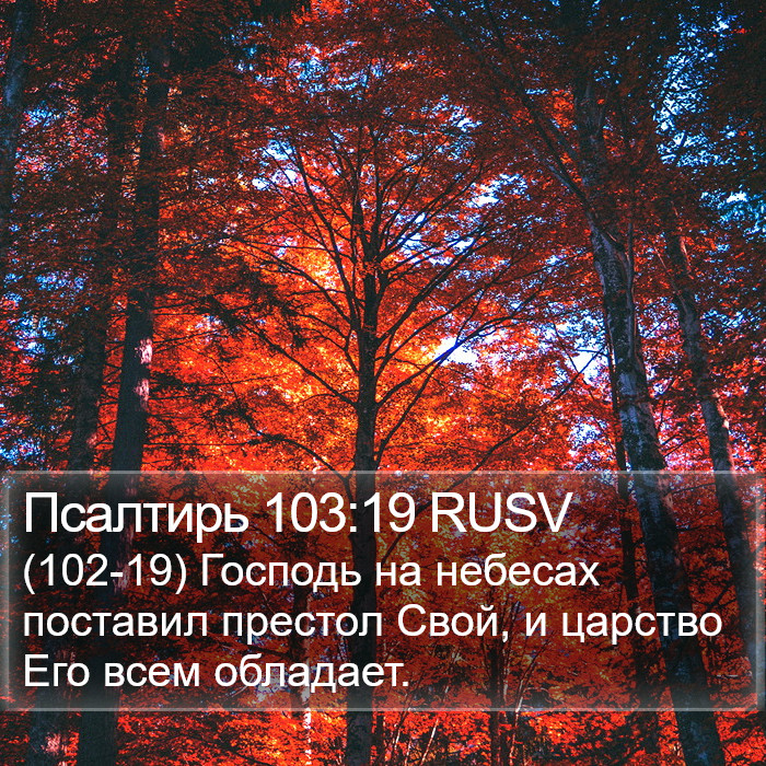 Псалтирь 103:19 RUSV Bible Study