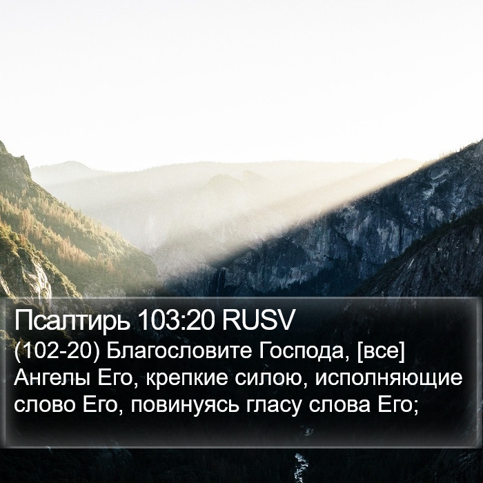 Псалтирь 103:20 RUSV Bible Study