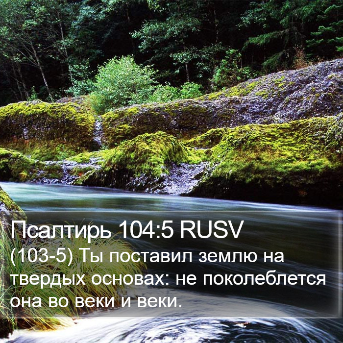 Псалтирь 104:5 RUSV Bible Study