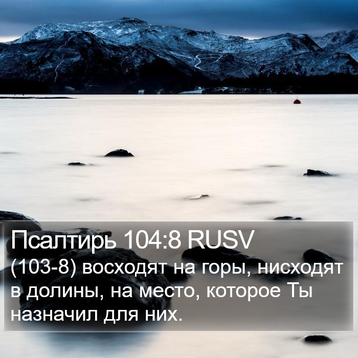 Псалтирь 104:8 RUSV Bible Study