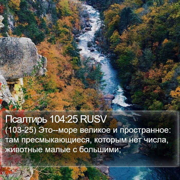 Псалтирь 104:25 RUSV Bible Study