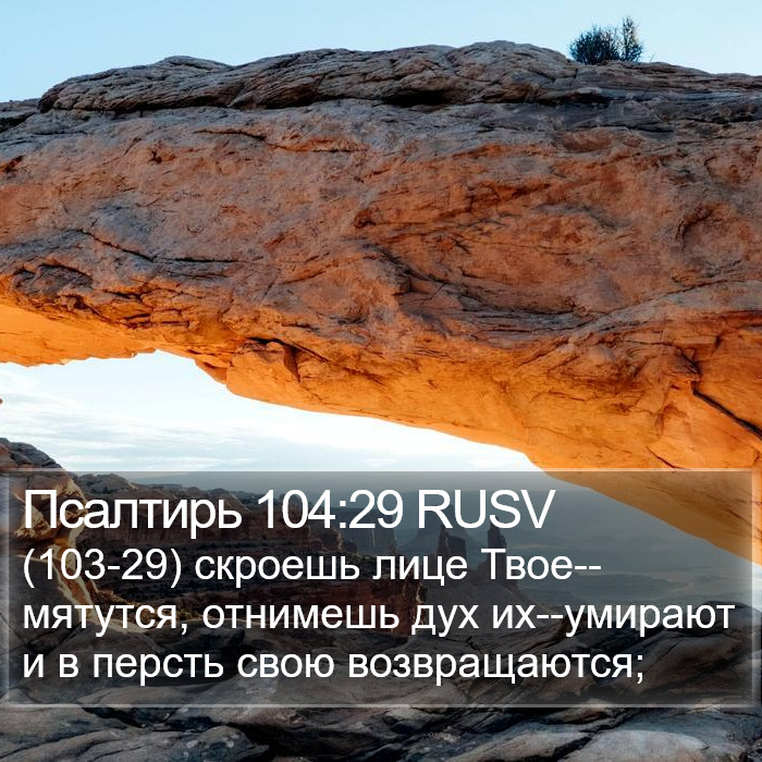 Псалтирь 104:29 RUSV Bible Study