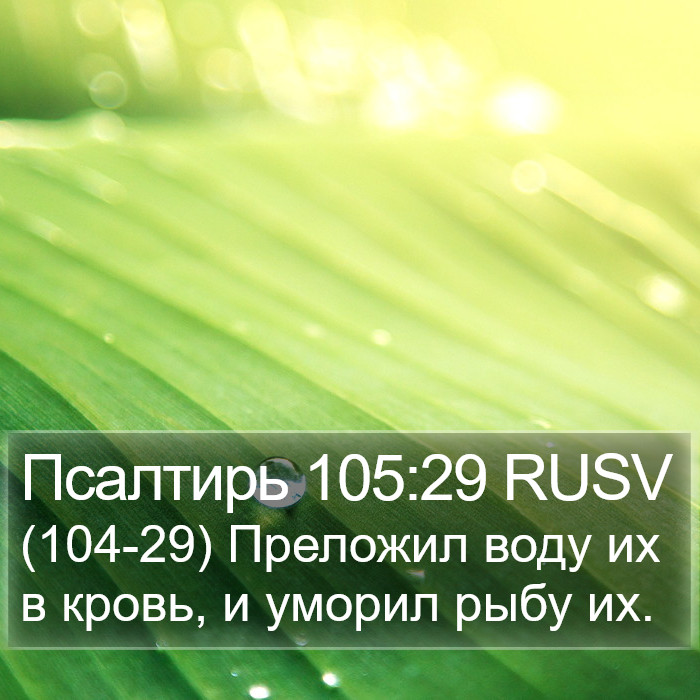 Псалтирь 105:29 RUSV Bible Study