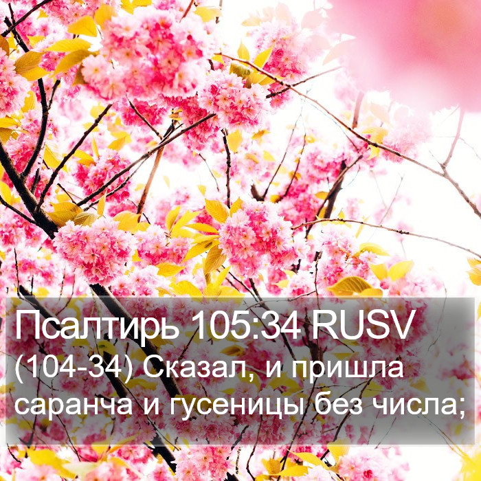 Псалтирь 105:34 RUSV Bible Study