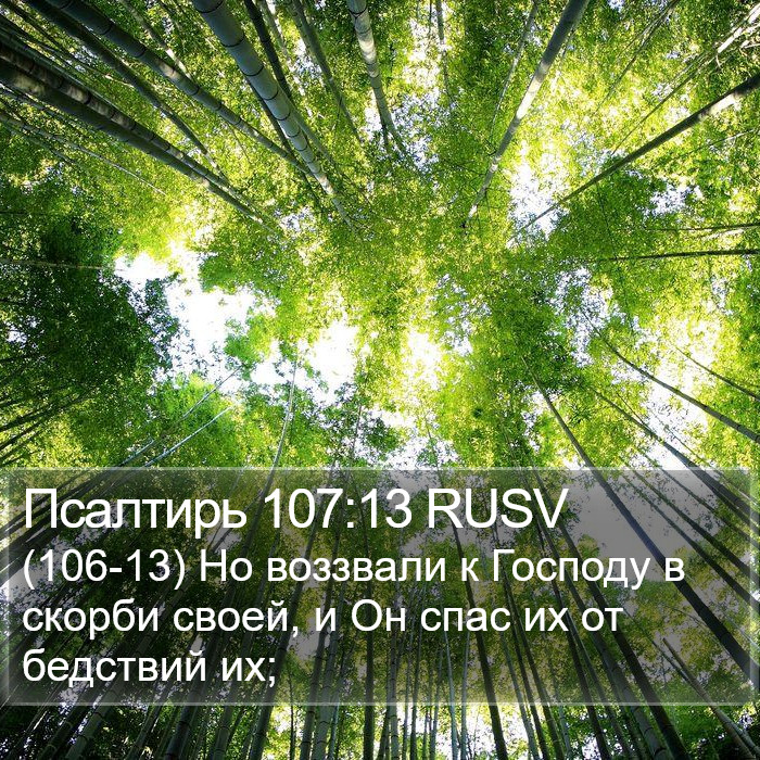 Псалтирь 107:13 RUSV Bible Study
