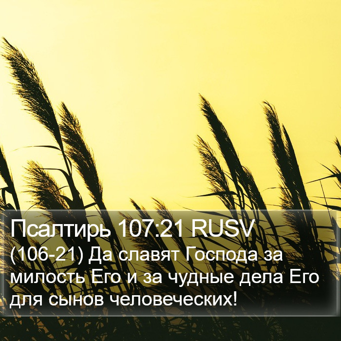 Псалтирь 107:21 RUSV Bible Study