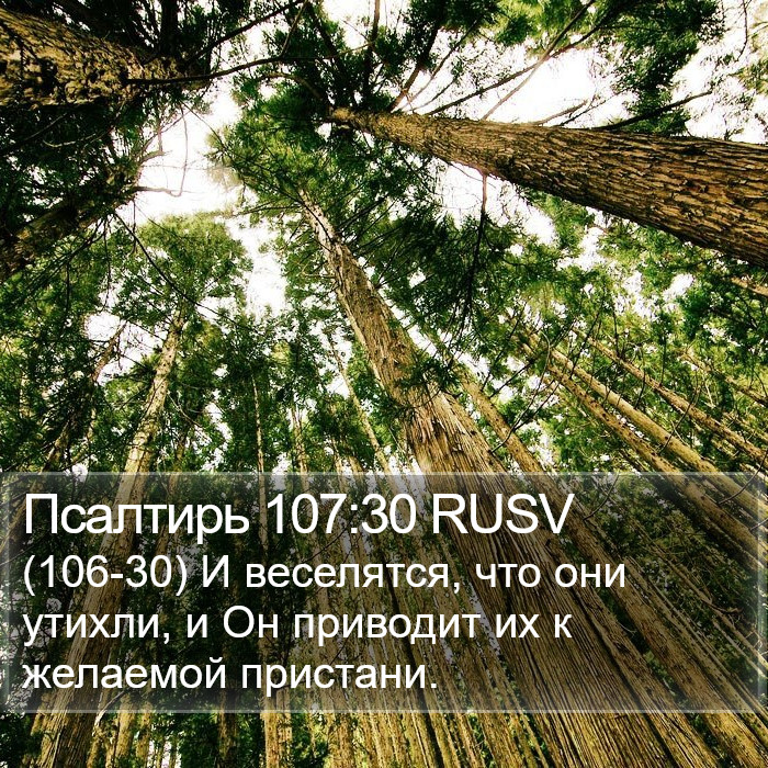 Псалтирь 107:30 RUSV Bible Study