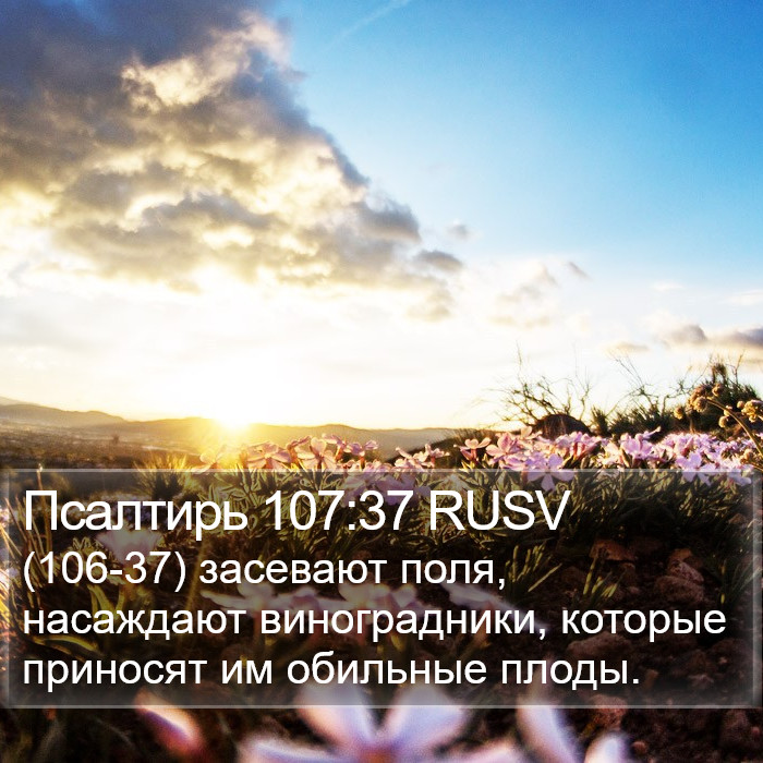 Псалтирь 107:37 RUSV Bible Study