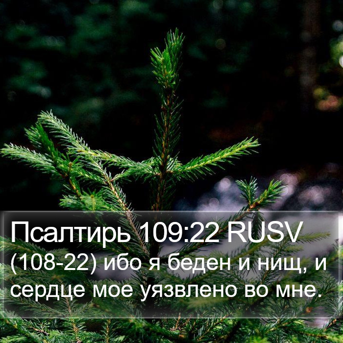 Псалтирь 109:22 RUSV Bible Study