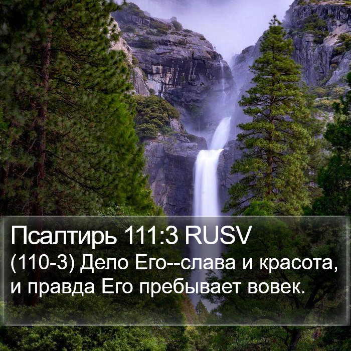 Псалтирь 111:3 RUSV Bible Study