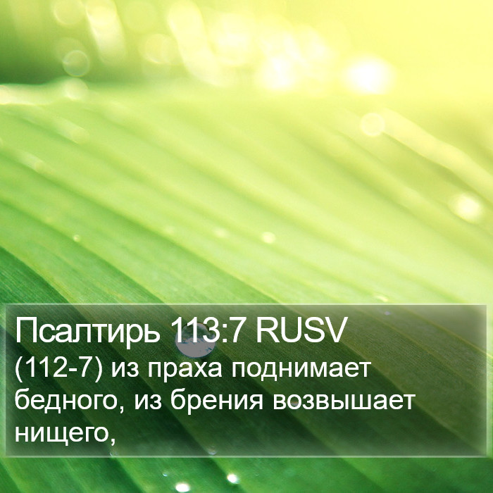 Псалтирь 113:7 RUSV Bible Study