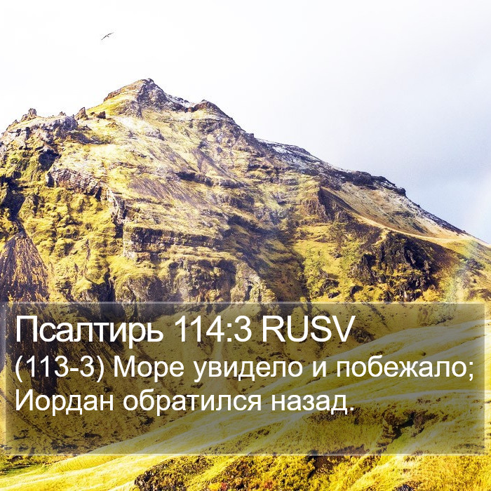 Псалтирь 114:3 RUSV Bible Study