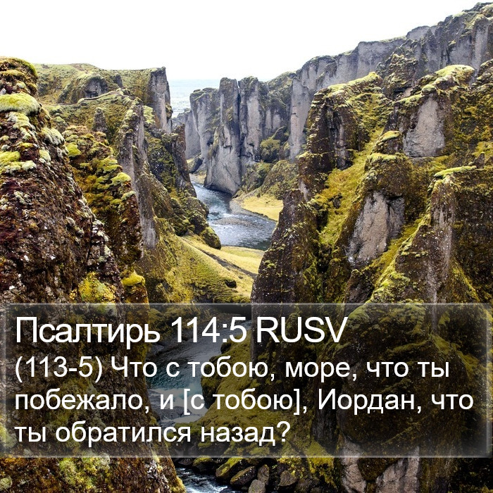 Псалтирь 114:5 RUSV Bible Study