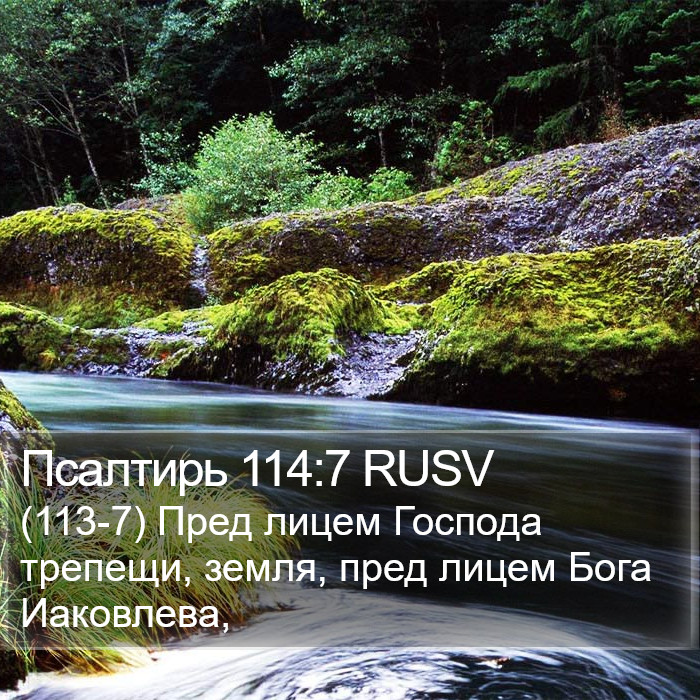 Псалтирь 114:7 RUSV Bible Study