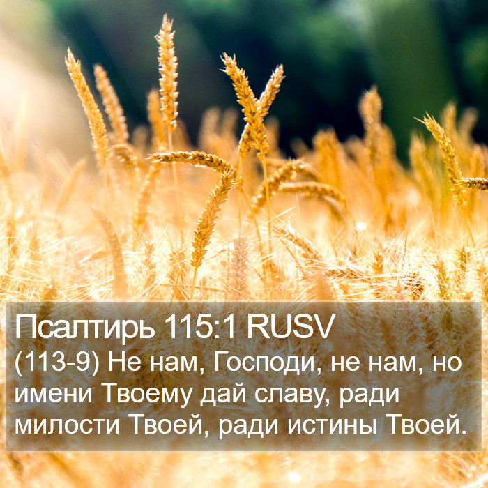 Псалтирь 115:1 RUSV Bible Study