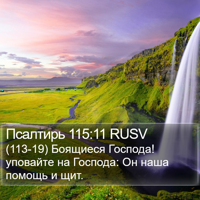 Псалтирь 115:11 RUSV Bible Study