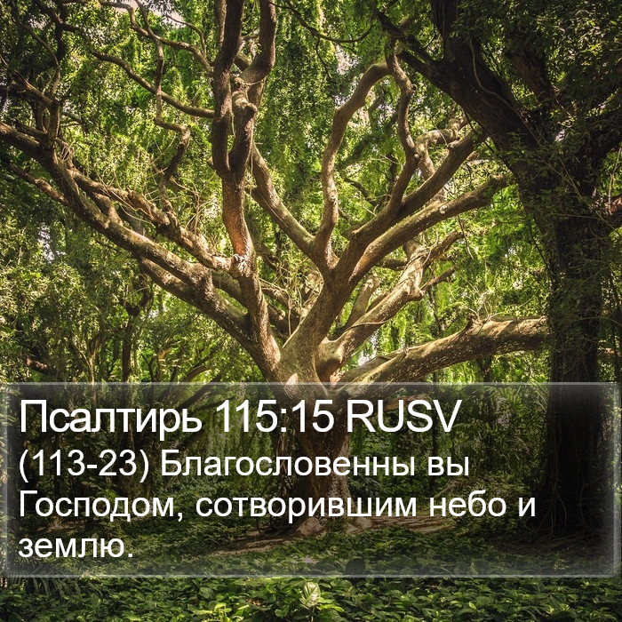 Псалтирь 115:15 RUSV Bible Study