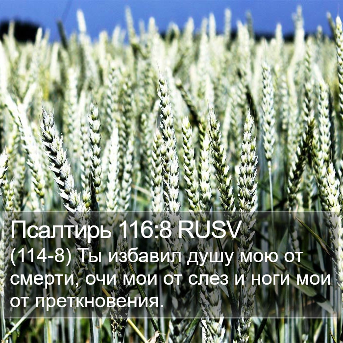 Псалтирь 116:8 RUSV Bible Study