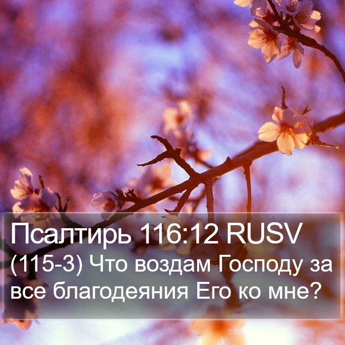 Псалтирь 116:12 RUSV Bible Study