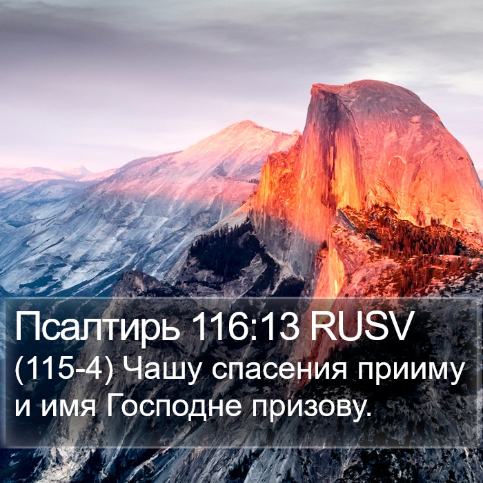 Псалтирь 116:13 RUSV Bible Study