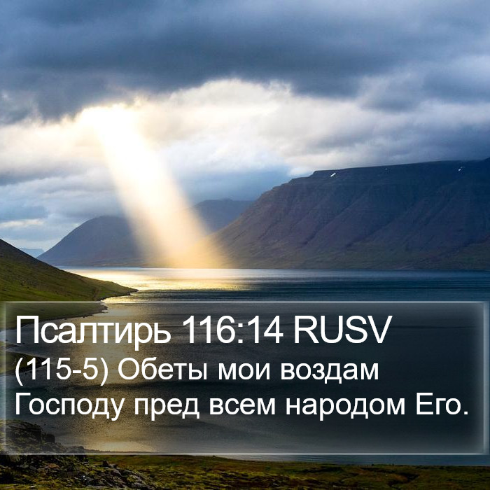 Псалтирь 116:14 RUSV Bible Study