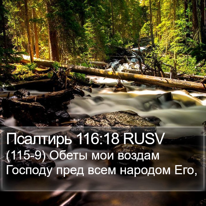 Псалтирь 116:18 RUSV Bible Study