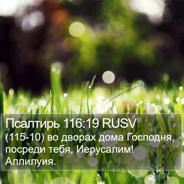 Псалтирь 116:19 RUSV Bible Study