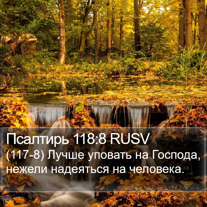 Псалтирь 118:8 RUSV Bible Study