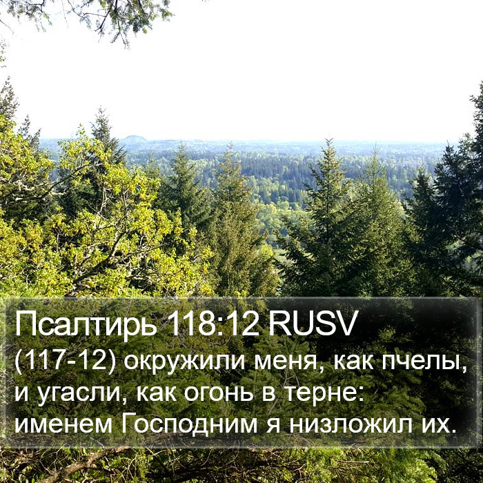 Псалтирь 118:12 RUSV Bible Study