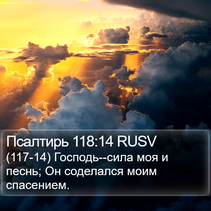 Псалтирь 118:14 RUSV Bible Study