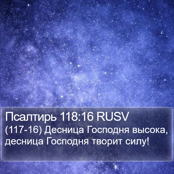 Псалтирь 118:16 RUSV Bible Study