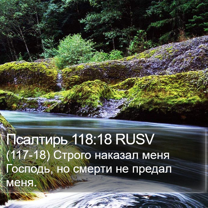 Псалтирь 118:18 RUSV Bible Study