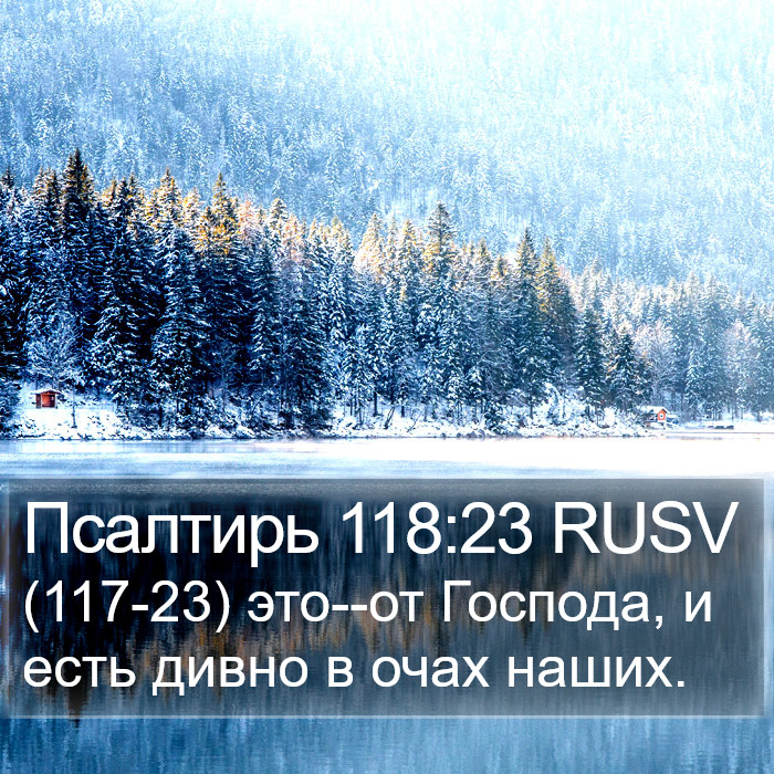 Псалтирь 118:23 RUSV Bible Study