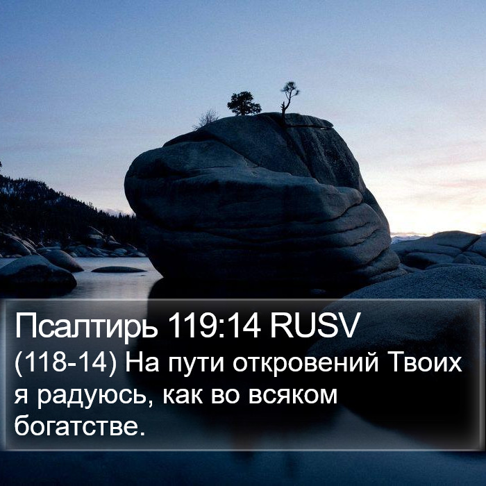 Псалтирь 119:14 RUSV Bible Study