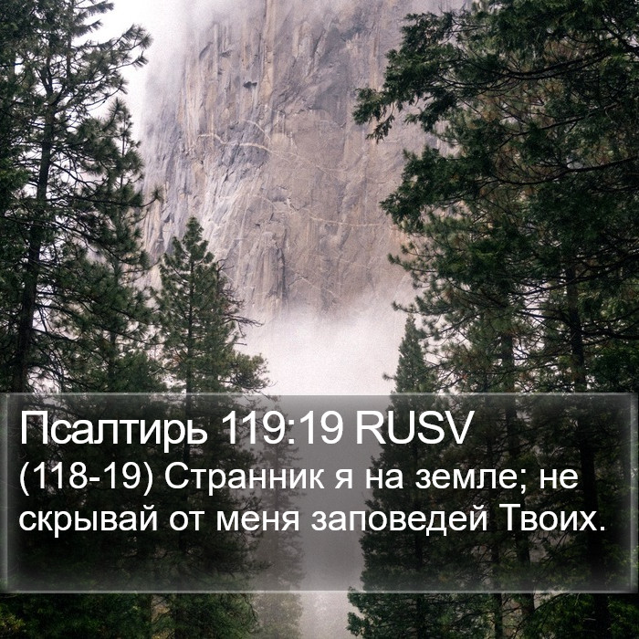 Псалтирь 119:19 RUSV Bible Study